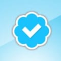 Twitter Verified Profile