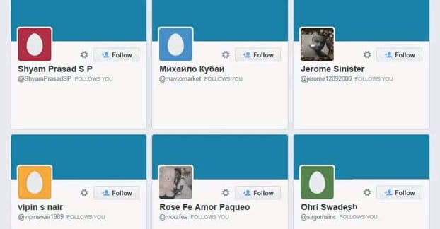 Egg Profiles on Twitter