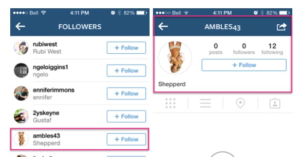 Fake Follower Example on Instagram
