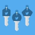 Control Multiple Twitter Accounts