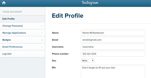Filling Out Instagram Profile Info