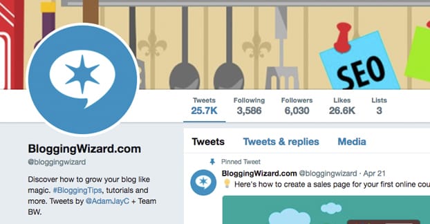 Blogging Wizard Twitter